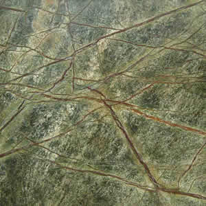 Rain Forest Green